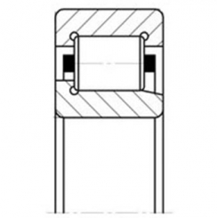 42205 АЕМ (ISO NJ205)