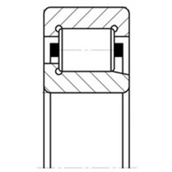 NJ205 (42205 АЕМ)